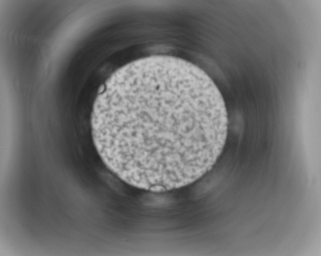 X0000113030763200910081220