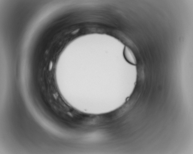 X0000113030764200910081220