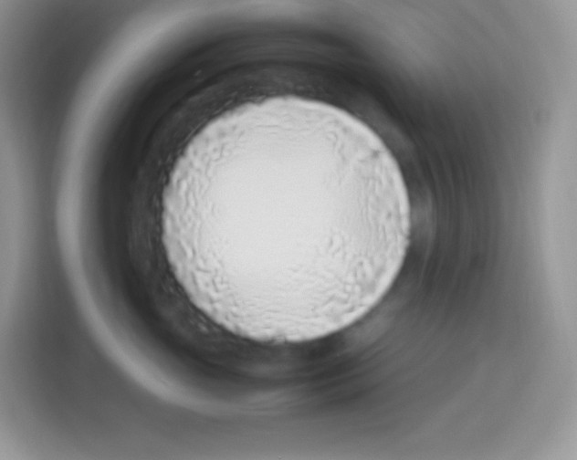 X0000113030765200910081220