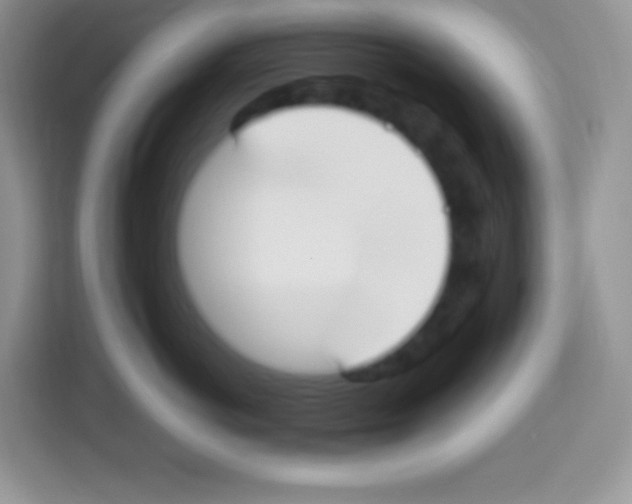 X0000113030766200910081220