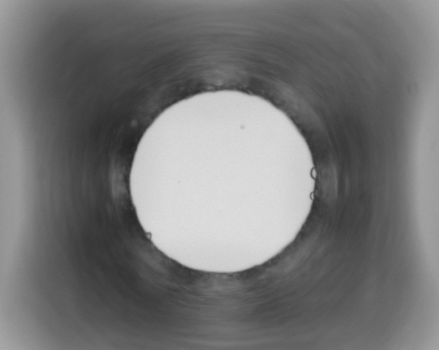 X0000113030770200910081219