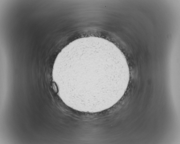 X0000113030771200910081219