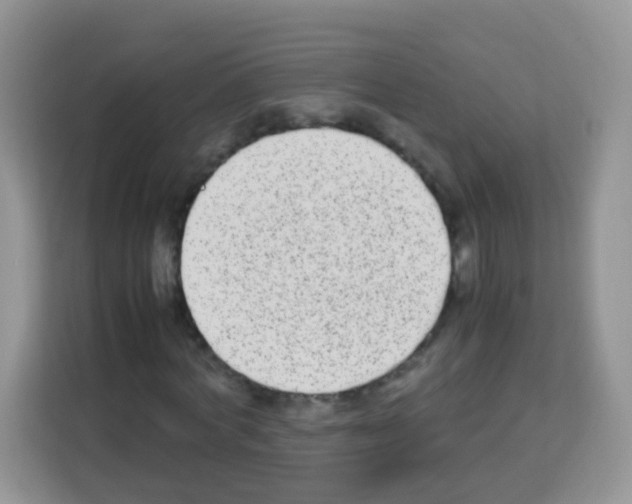 X0000113030772200910081219