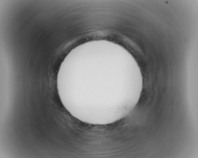 X0000113030773200910081219