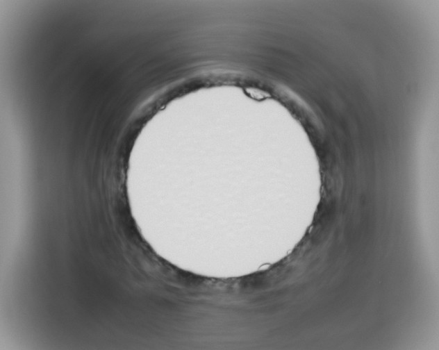 X0000113030775200910081219