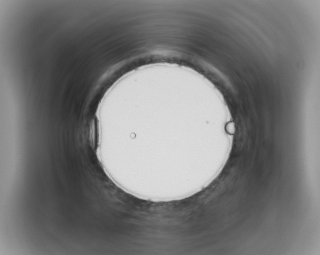 X0000113030776200910081219