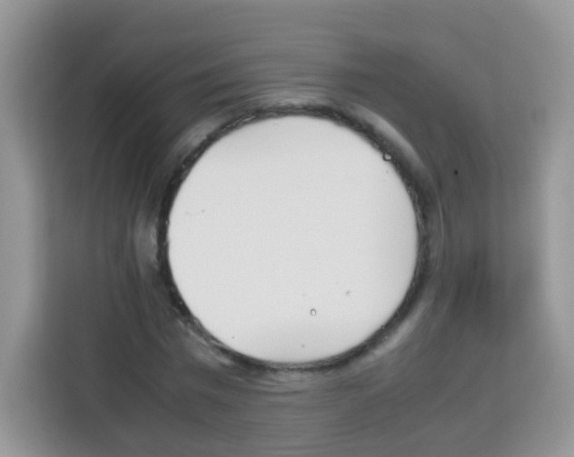 X0000113030777200910081219