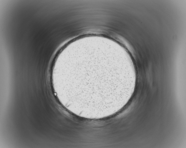X0000113030779200910081219
