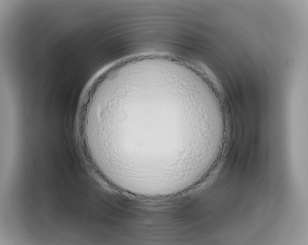 X0000113030780200910081219