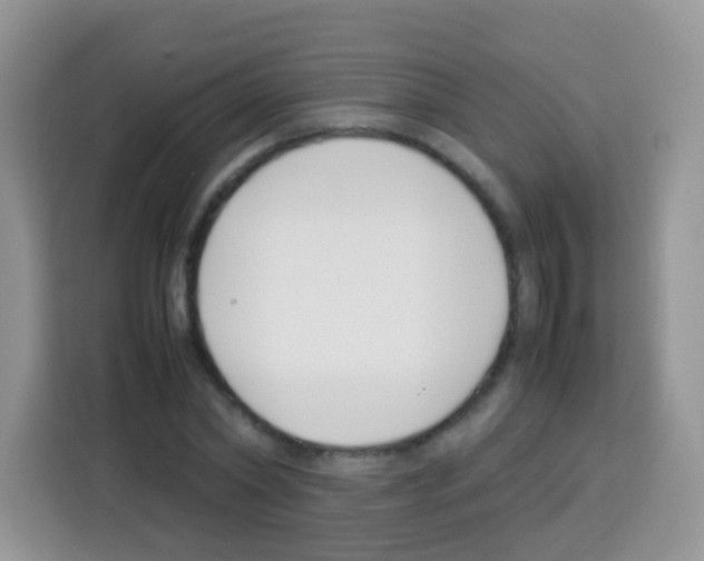 X0000113030782200910081219