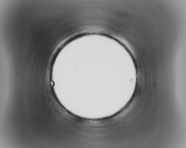 X0000113030783200910081219