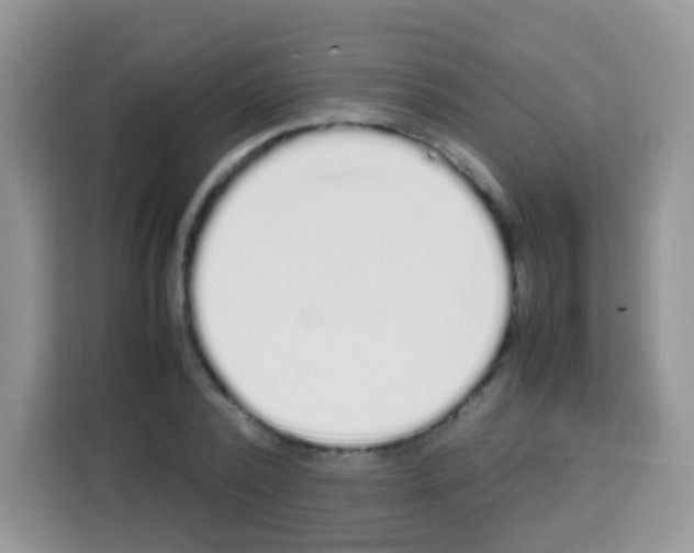 X0000113030784200910081219