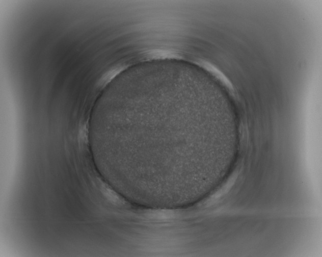 X0000113030785200910081219