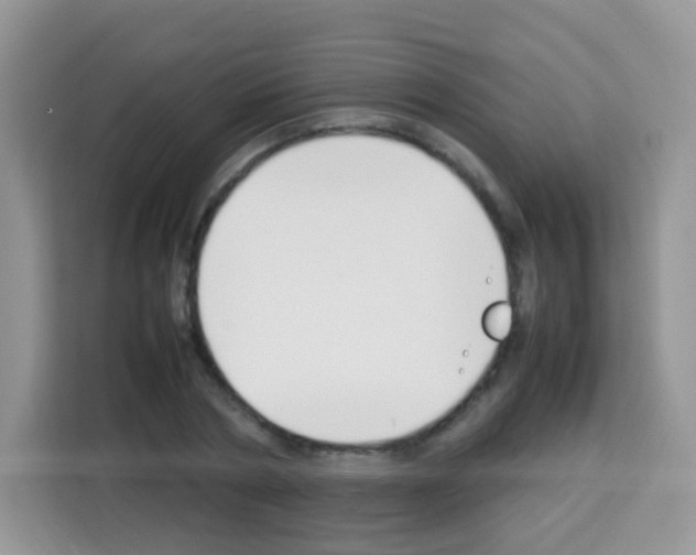 X0000113030786200910081219