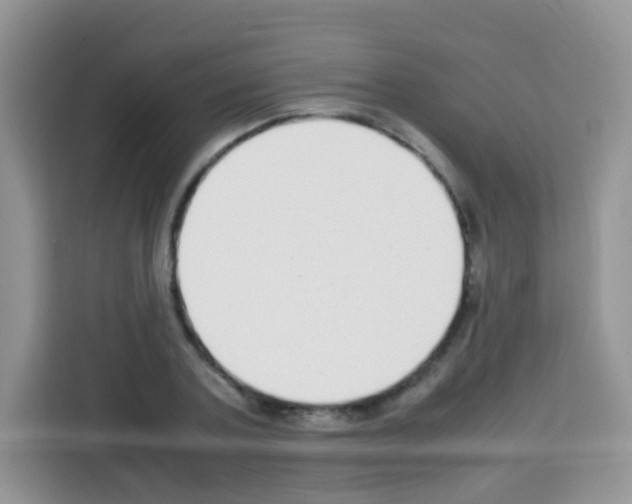 X0000113030787200910081219