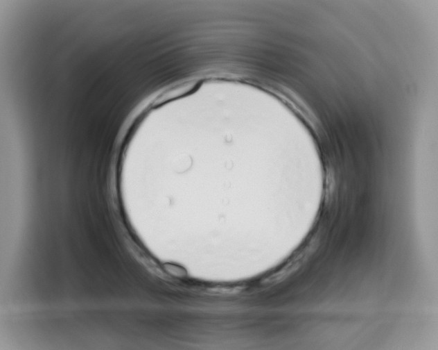 X0000113030788200910081219