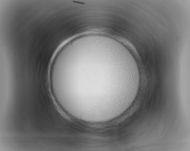 X0000113030792200910081219