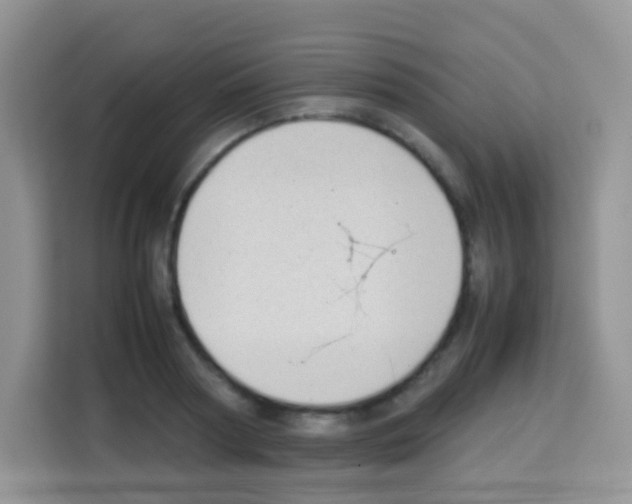 X0000113030794200910081219