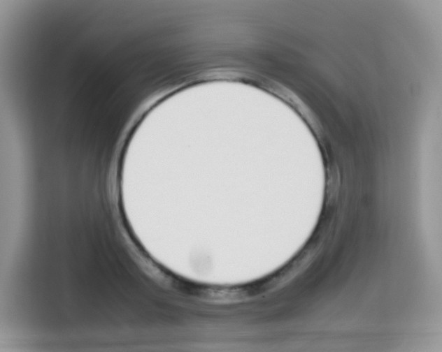 X0000113030795200910081219