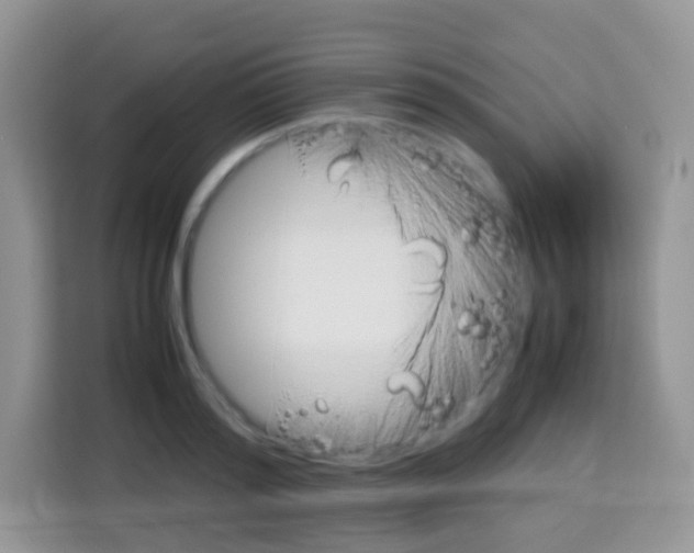 X0000113030796200910081219