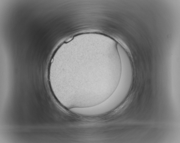 X0000113030797200910081219