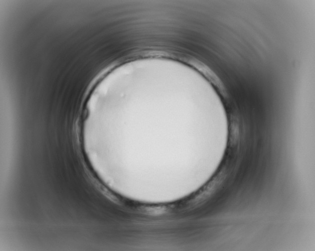 X0000113030798200910081219