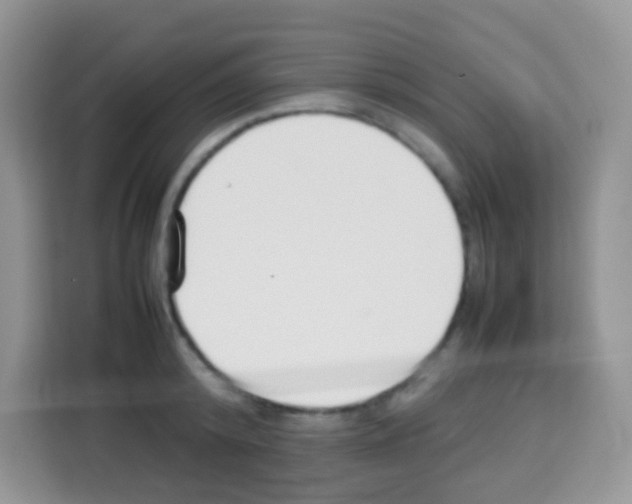 X0000113030800200910081219