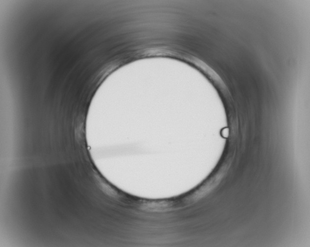 X0000113030801200910081219