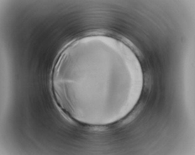 X0000113030802200910081219