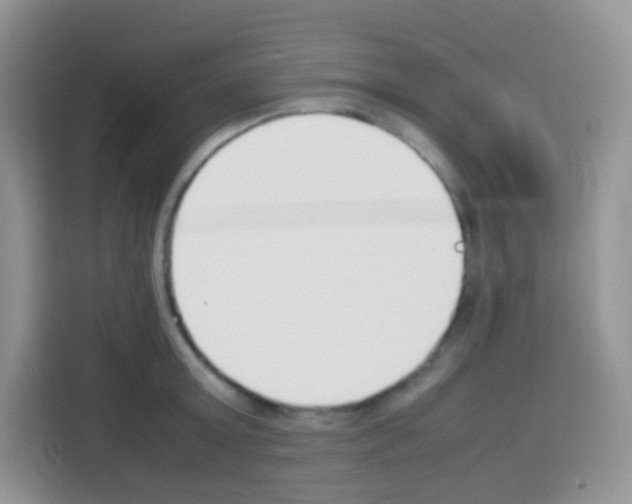 X0000113030803200910081219