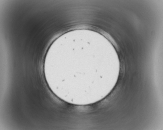 X0000113030805200910081219