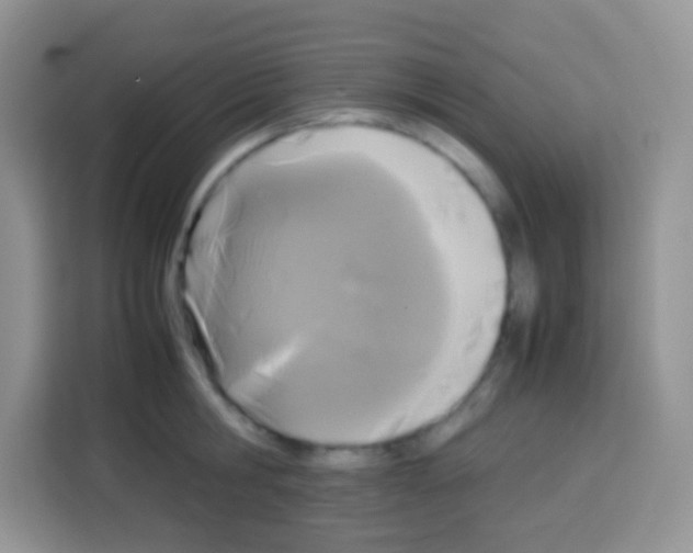 X0000113030806200910081219
