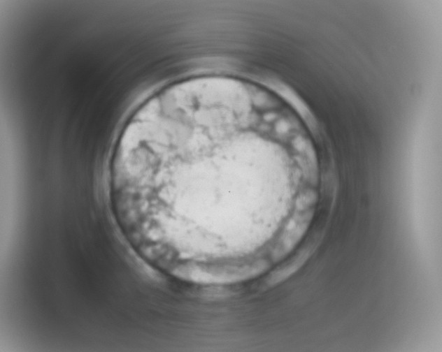 X0000113030807200910081219