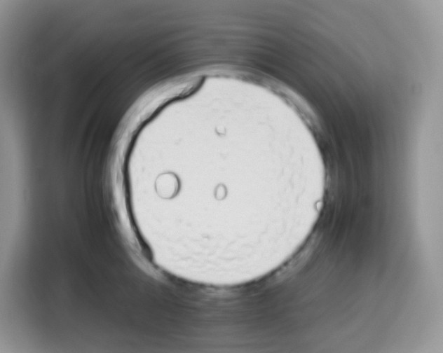 X0000113030808200910081219