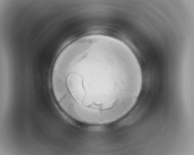 X0000113030810200910081219