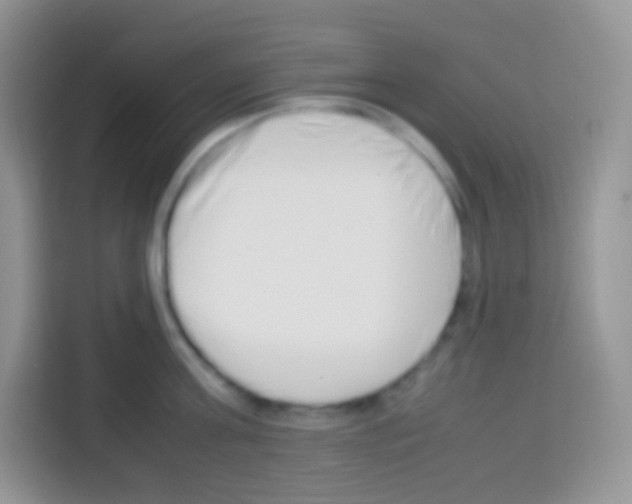 X0000113030811200910081219