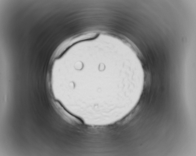X0000113030812200910081219