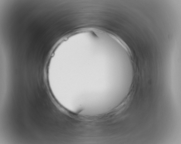 X0000113030813200910081219