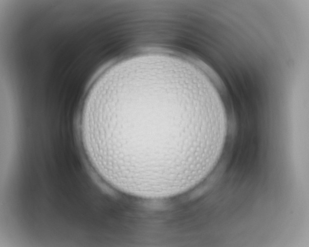 X0000113030814200910081219