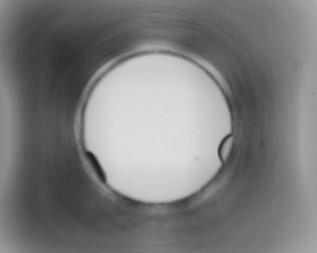 X0000113030815200910081219