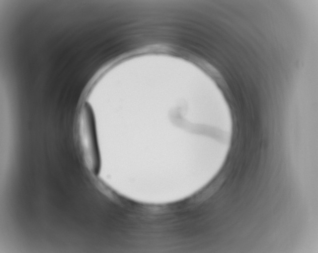 X0000113030816200910081219