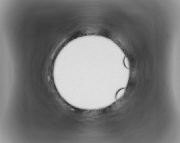 X0000113030817200910081218