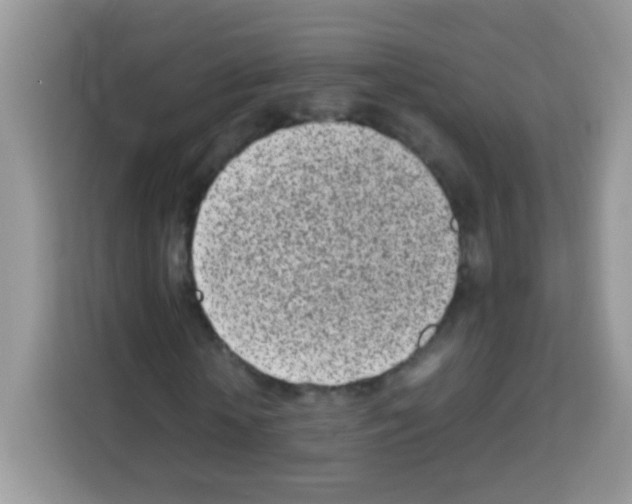 X0000113030818200910081218