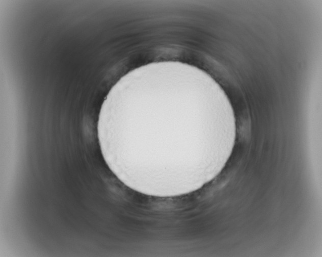 X0000113030819200910081218