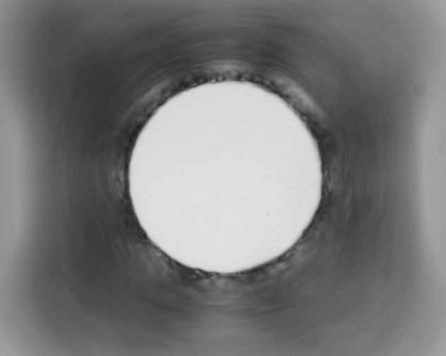 X0000113030821200910081218