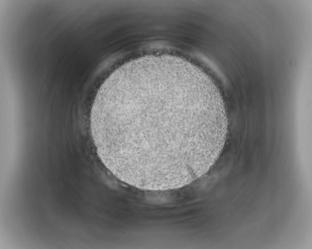 X0000113030823200910081218