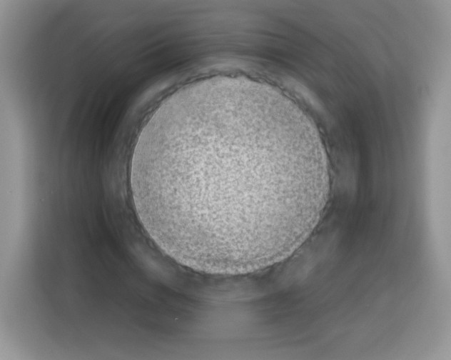 X0000113030824200910081218
