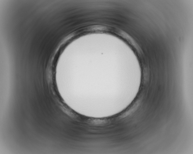 X0000113030827200910081218