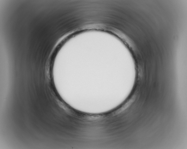 X0000113030830200910081218