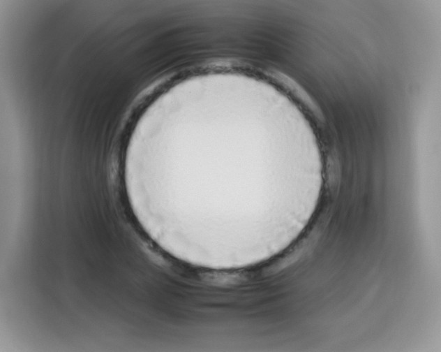 X0000113030831200910081218